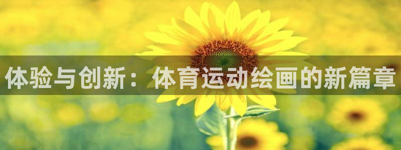 3377体育官网下载招商电话是多少号码:体验与创新:体育运动