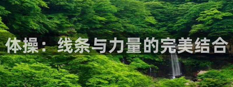 3377体育官方正版app代理:体操:线条与力量的完美结合