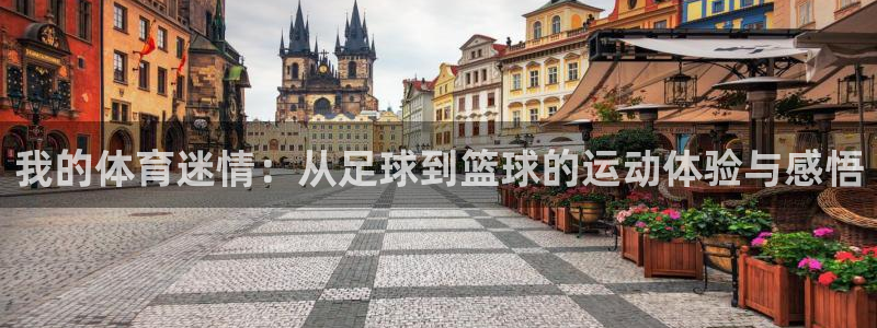 海南3377体育官网下载:我的体育迷情:从足球到篮球的运动体